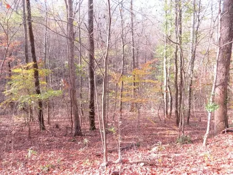 0 Black Rd, Prospect, TN 38477 photo 7