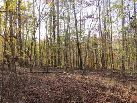 0 Black Rd, Prospect, TN 38477 photo 19