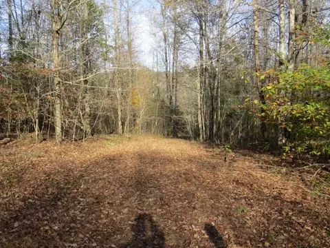 0 Black Rd, Prospect, TN 38477 photo 20