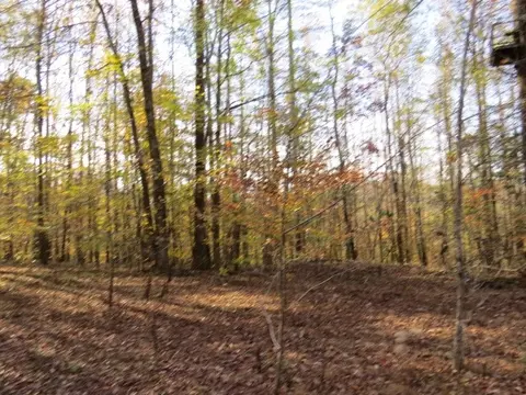 0 Black Rd, Prospect, TN 38477 photo 6