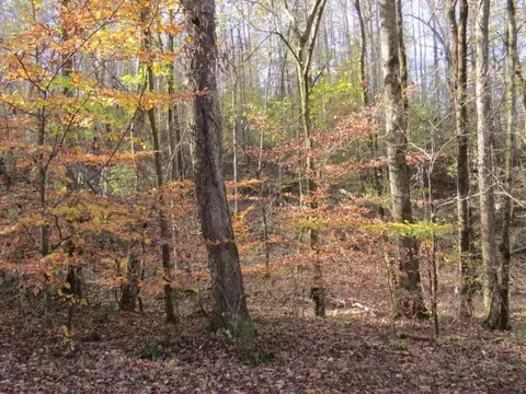 0 Black Rd, Prospect, TN 38477 photo 11