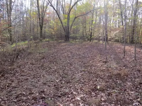 0 Black Rd, Prospect, TN 38477 photo 17