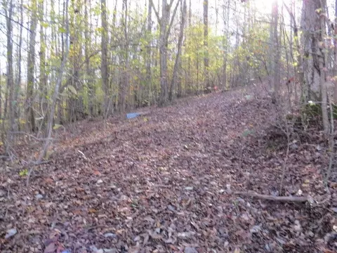 0 Black Rd, Prospect, TN 38477 photo 13