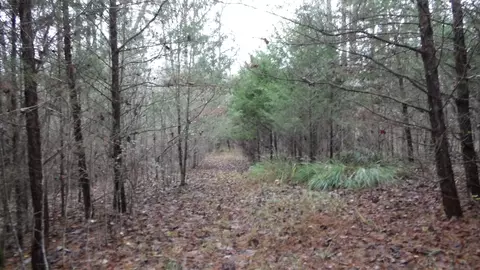 0 N Star Rd, Jamestown, TN 38556