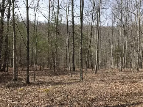 49 Big Falls Trl, Dunlap, TN 37327