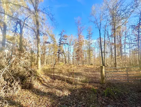 0 Campground Hollow Rd, Nunnelly, TN 37137