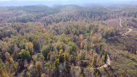 5776 Highway 100, Centerville, TN 37033