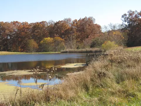 0 Hack Beaty Rd, Grimsley, TN 38565