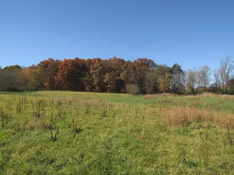 0 Hack Beaty Rd, Grimsley, TN 38565 photo 5