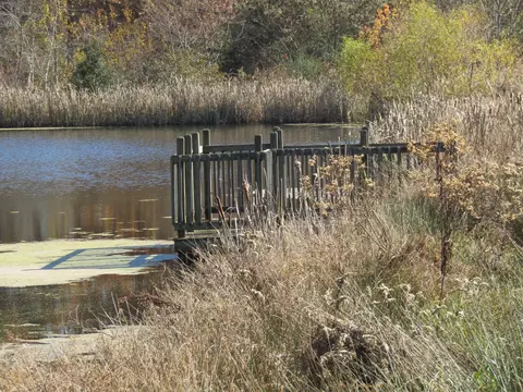 0 Hack Beaty Rd, Grimsley, TN 38565 photo 24