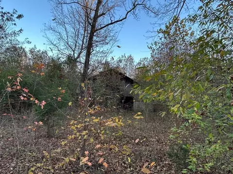 0 Harmons Creek Rd, Eva, TN 38333
