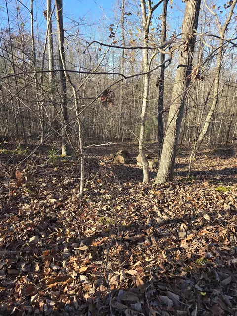 179 Hidden Valley Rd, Dover, TN 37058