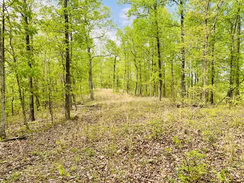 47 Ridge Top Rd, Stewart, TN 37175