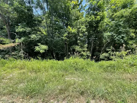 0 Parrish Hollow Rd, Lynnville, TN 38472