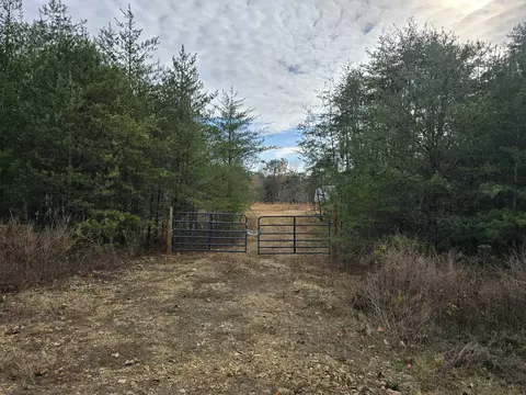 445 Highwater Rd, Waverly, TN 37185
