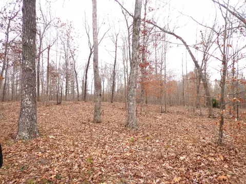 0 Hillcrest Rd, Waverly, TN 37185