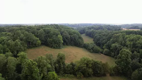 2331 Pleasant Grove Rd, Westmoreland, TN 37186