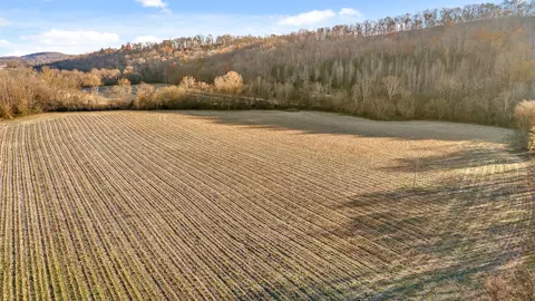 4271 Old State Highway 28, Dunlap, TN 37327 photo 7