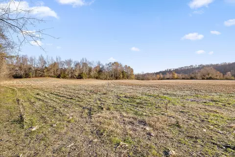 4271 Old State Highway 28, Dunlap, TN 37327 photo 33