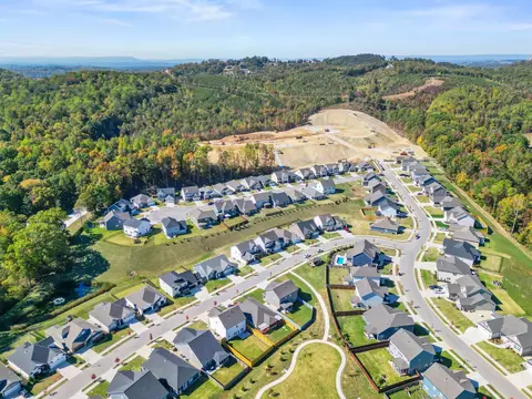 3650 Weathervane Lp, Apison, TN 37302 photo 47