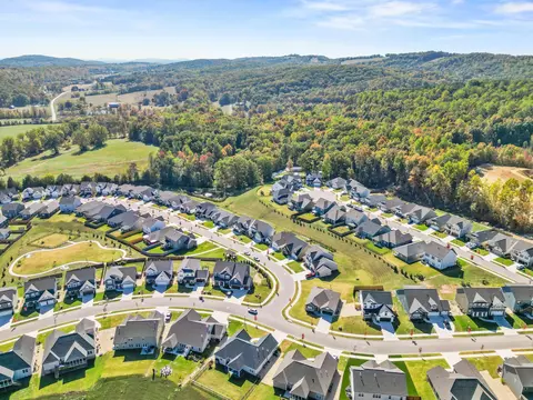 3650 Weathervane Lp, Apison, TN 37302 photo 48