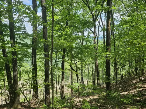 14 Higgenbotham Turkpike, Altamont, TN 37301