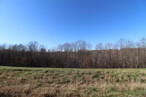 171 Coley Ct, Lafayette, TN 37083