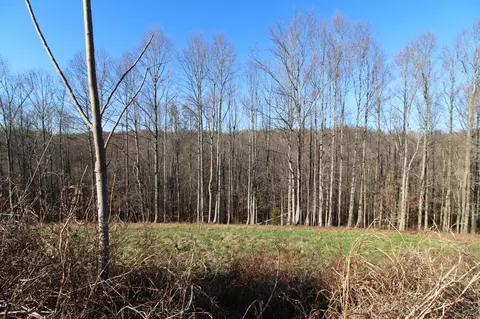 211 Coley Ct, Lafayette, TN 37083