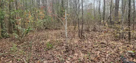 2870 Divider And Natchez Trace Rd, Camden, TN 38320