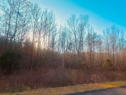 13 Only Rd, Only, TN 37140 photo 3