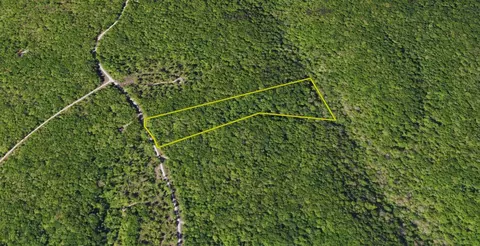 0 Wilson Ridge Rd, Wilder, TN 38589