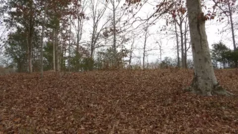 39 Sunset Ridge Ln, Hilham, TN 38568