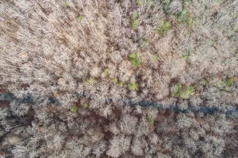 0 Hull Rd, Monroe, TN 38573 photo 6