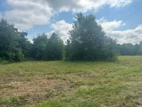 0 Dave O Ln, Loretto, TN 38469 photo 3