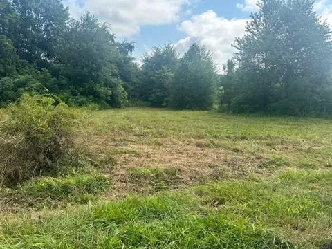 0 Dave O Ln, Loretto, TN 38469 photo 2