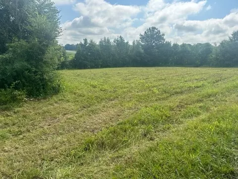 0 Dave O Ln, Loretto, TN 38469 photo 4