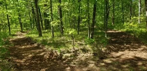 3115 State Line Rd, Menlo, GA 30731