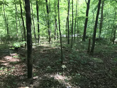 202 Deep Woods Dr, Dunlap, TN 37327