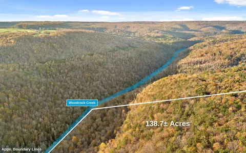 3868 Hobbstown Rd, Dunlap, TN 37327 photo 54