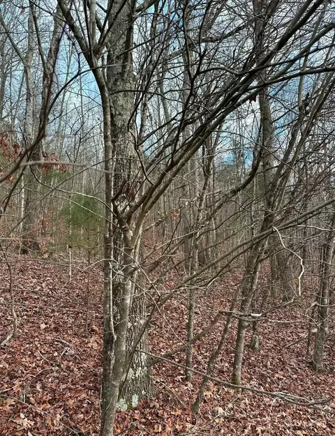 0 Grasshopper Rd, Birchwood, TN 37308
