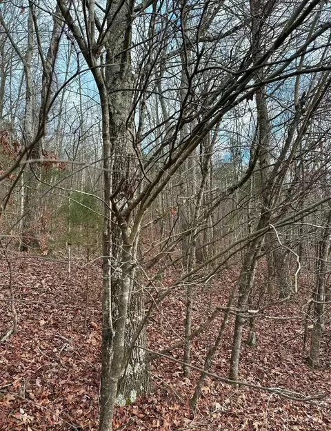 0 Grasshopper Rd, Birchwood, TN 37308