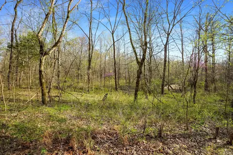 0 Melton Springs Rd, Big Rock, TN 37023