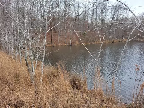 1 Lakewood Cv, Dover, TN 37058