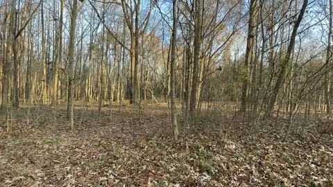 0 Old Union Loop, Paris, TN 38242 photo 28