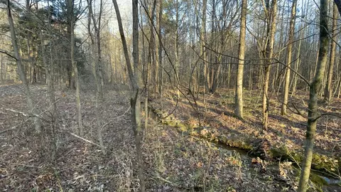 0 Old Union Loop, Paris, TN 38242 photo 7
