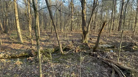 0 Old Union Loop, Paris, TN 38242 photo 8
