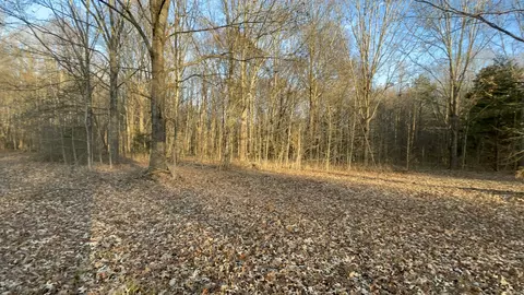 0 Old Union Loop, Paris, TN 38242 photo 16