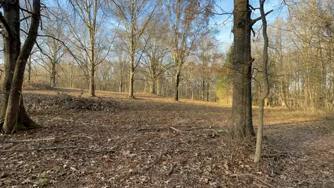 0 Old Union Loop, Paris, TN 38242 photo 26