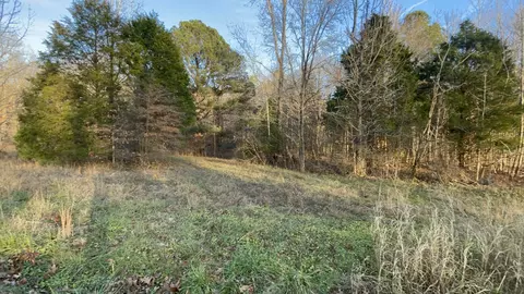 0 Old Union Loop, Paris, TN 38242 photo 4