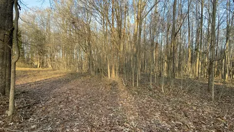 0 Old Union Loop, Paris, TN 38242 photo 27